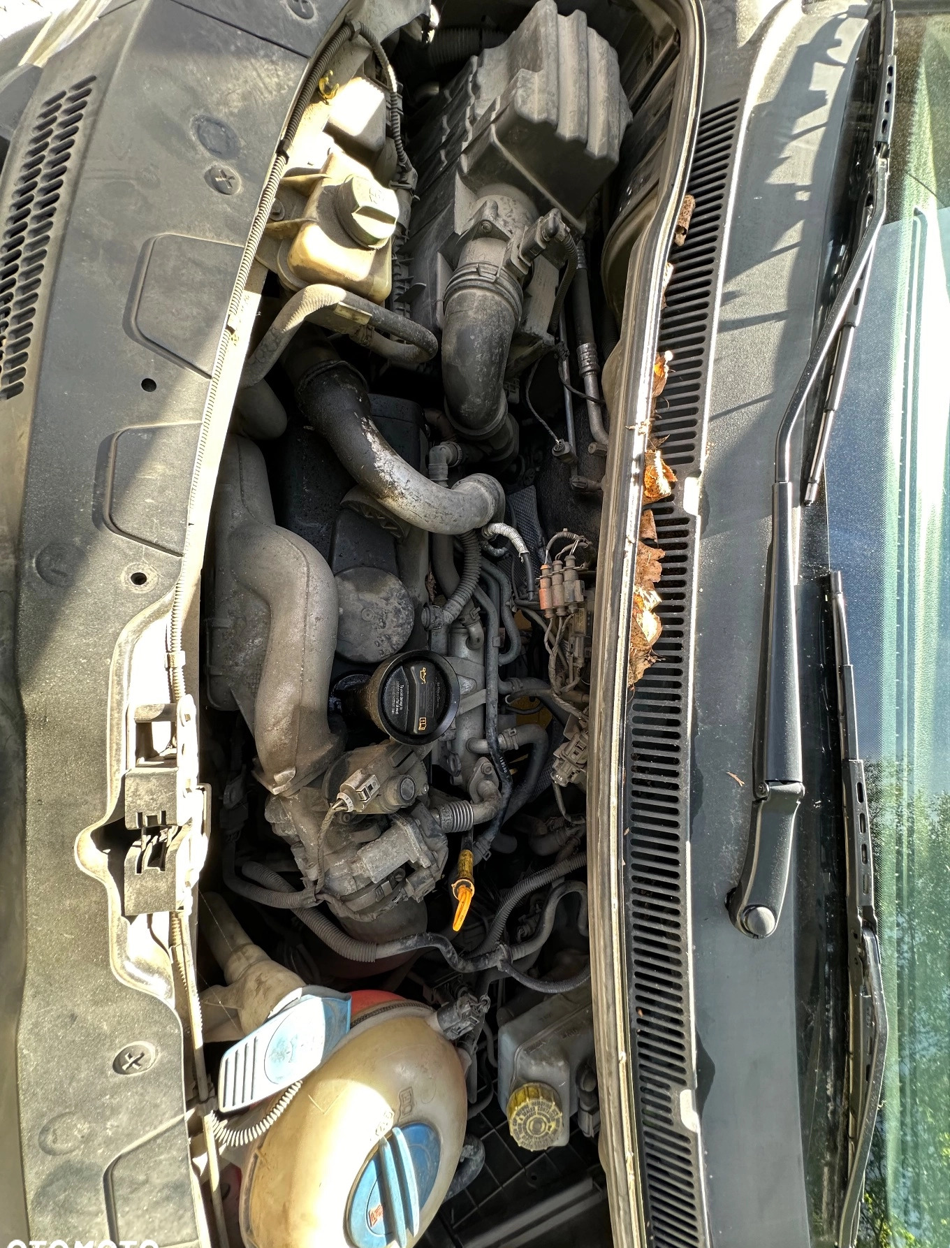 Volkswagen Transporter cena 41000 przebieg: 258647, rok produkcji 2008 z Kobyłka małe 79